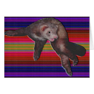 Dancing Ferret Kaart