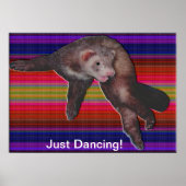 Dancing Ferret Poster (Voorkant)