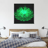 Dancing Fireworks-Blauwgroen muurkunst uitgerekt c Canvas Afdruk (Insitu (Slaapkamer))