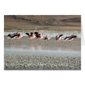 Dancing Flamingo Birds on Ice Greeting Card (Voorkant Horizontaal)