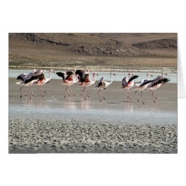 Dancing Flamingo Birds on Ice Greeting Card