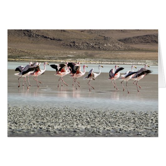 Dancing Flamingo Birds on Ice Greeting Card (Voorkant Horizontaal)