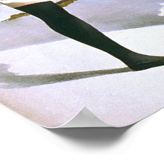 DANCING GIRLS VAUDEVILLE 1899 POSTER (Hoek)