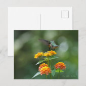 Dancing Jewel Briefkaart (Voorkant / Achterkant)