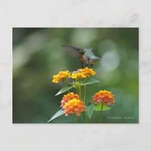 Dancing Jewel Briefkaart