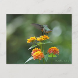 Dancing Jewel Briefkaart