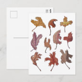 Dancing Leaves Briefkaart (Voorkant / Achterkant)