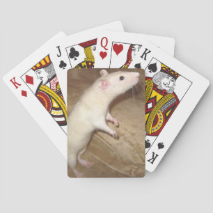 DANCING RAT PLAYCARDS SPEELKAARTEN