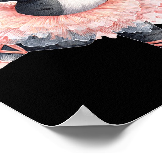 Dancing Tutu Cat Costume For Cats Lovers Poster (Hoek)