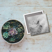 Dancing with birds I Magneet