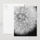 Dandalion Briefkaart (Voorkant / Achterkant)