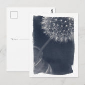 Dandalion Coffee Cyanotype Briefkaart (Voorkant / Achterkant)