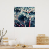 Dandalion Seeds met druppels Macro Abstract Poster (Keuken)