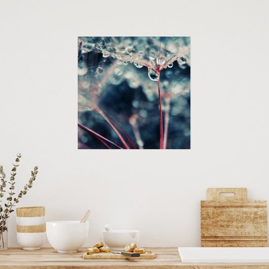 Dandalion Seeds met druppels Macro Abstract Poster (Keuken)