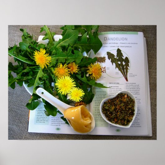 DANDELIJKHEDEN VOOR DE GEZONDHEID ~ Poster (Voorkant)