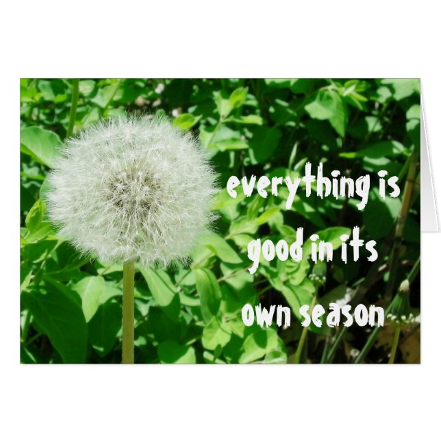 Dandelion (Voorkant Horizontaal)