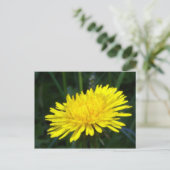 dandelion2 briefkaart (Staand voorkant)