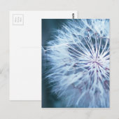 Dandelion 2 briefkaart (Voorkant / Achterkant)