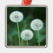 Dandelion 2 metalen ornament (Voorkant)