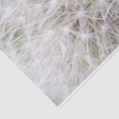 Dandelion 9668 tissuepapier (Detail)