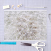 Dandelion 9668 tissuepapier (Craft)