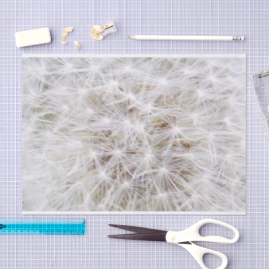 Dandelion 9668 tissuepapier (Craft)