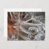 Dandelion Abstract Briefkaart (Voorkant / Achterkant)