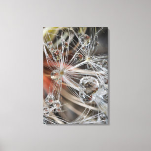 Dandelion Abstract Canvas Afdruk