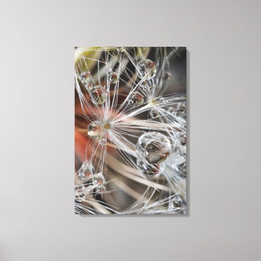 Dandelion Abstract Canvas Afdruk (Voorkant)