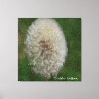 Dandelion Ballerina