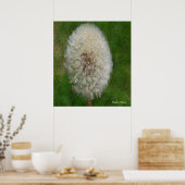 Dandelion Ballerina door Celeste Sheffey Poster (Keuken)