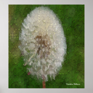 Dandelion Ballerina door Celeste Sheffey Poster