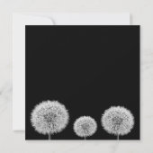 Dandelion Black White closeup foto inspirerend (Achterkant)