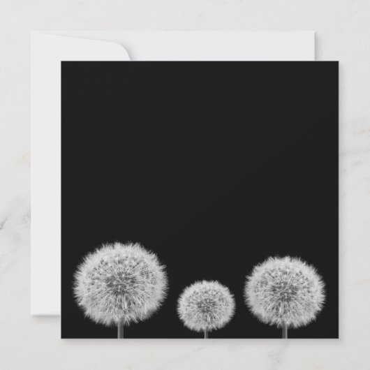 Dandelion Black White closeup foto inspirerend (Achterkant)