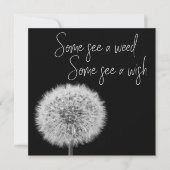 Dandelion Black White closeup foto inspirerend (Voorkant)