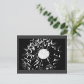 dandelion blacq briefkaart (Staand voorkant)