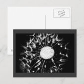 dandelion blacq briefkaart (Voorkant / Achterkant)
