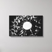 dandelion blacq canvas afdruk (Voorkant)