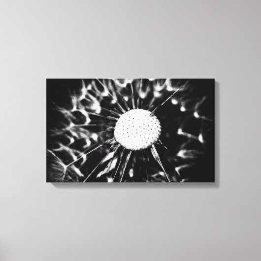 dandelion blacq canvas afdruk (Voorkant)
