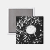 dandelion blacq magneet (Voorkant / Achterkant)