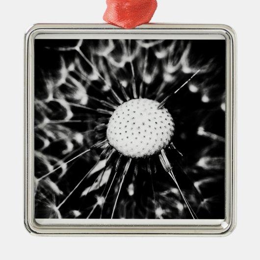 dandelion blacq metalen ornament (Voorkant)