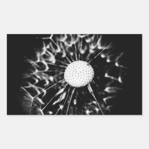 dandelion blacq rechthoekige sticker