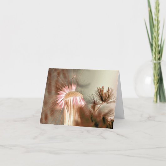 Dandelion blauw bedankt (Voorkant)