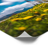 Dandelion bloemen in de primus Jamnik Sl. Poster (Hoek)