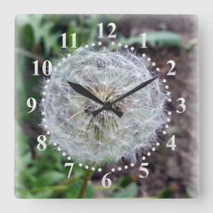 dandelion bloom vierkante klok