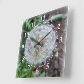 dandelion bloom vierkante klok (Hoek)