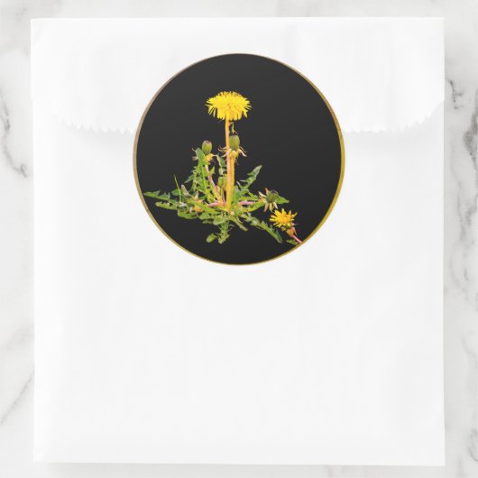 Dandelion blooming botanisch ronde sticker (Tas)