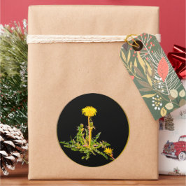 Dandelion blooming botanisch ronde sticker