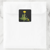 Dandelion blooming vierkante sticker (Tas)