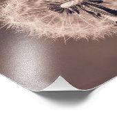 Dandelion Blowball Closeup Sepia Foto Afdruk (Hoek)